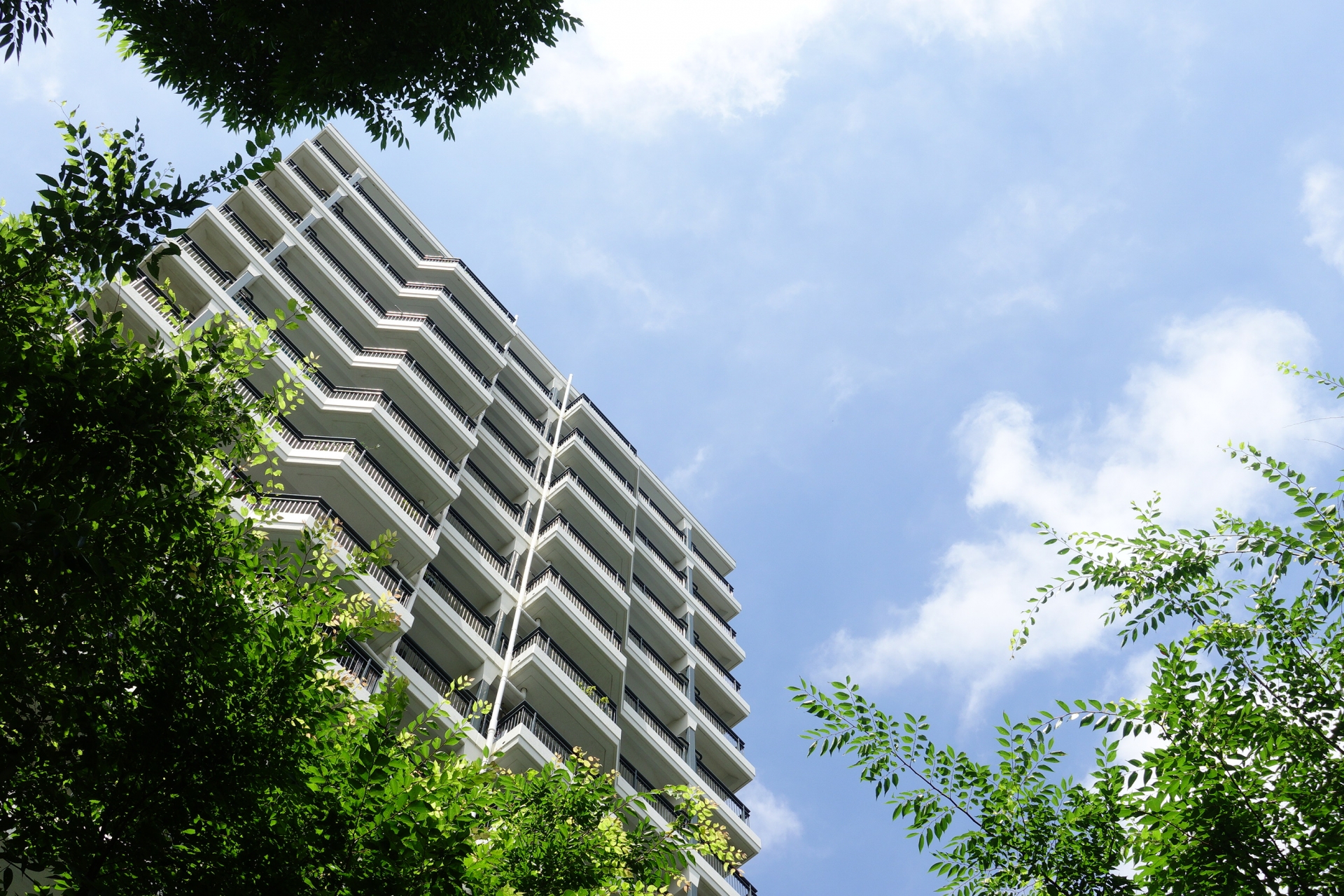 緑豊かな高層住宅